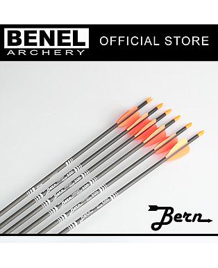 BERN TARGET PLUS ARROW (SG) 500