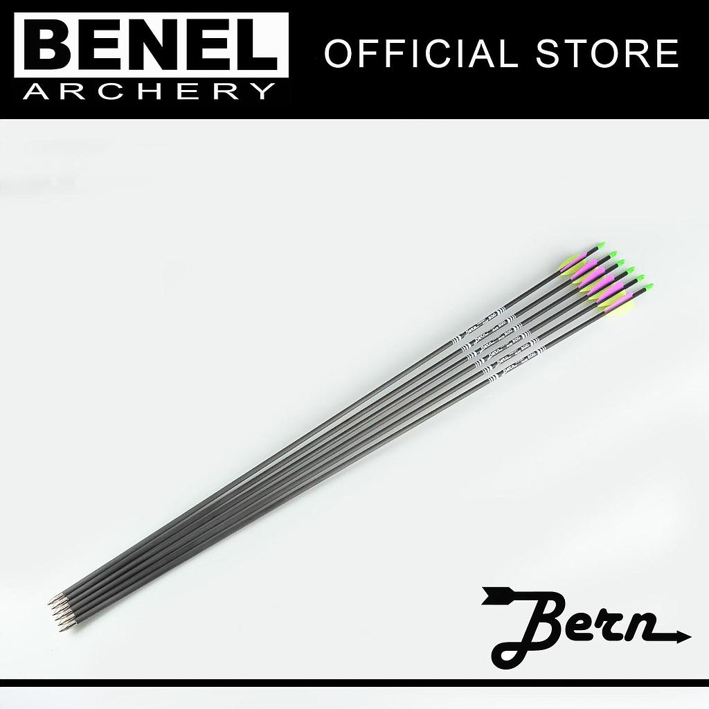 BERN TARGET PLUS ARROW 800 (SG)