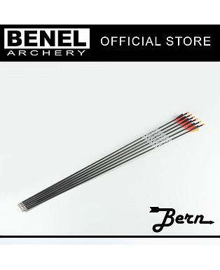 BERN TARGET PLUS ARROW (SG) 900