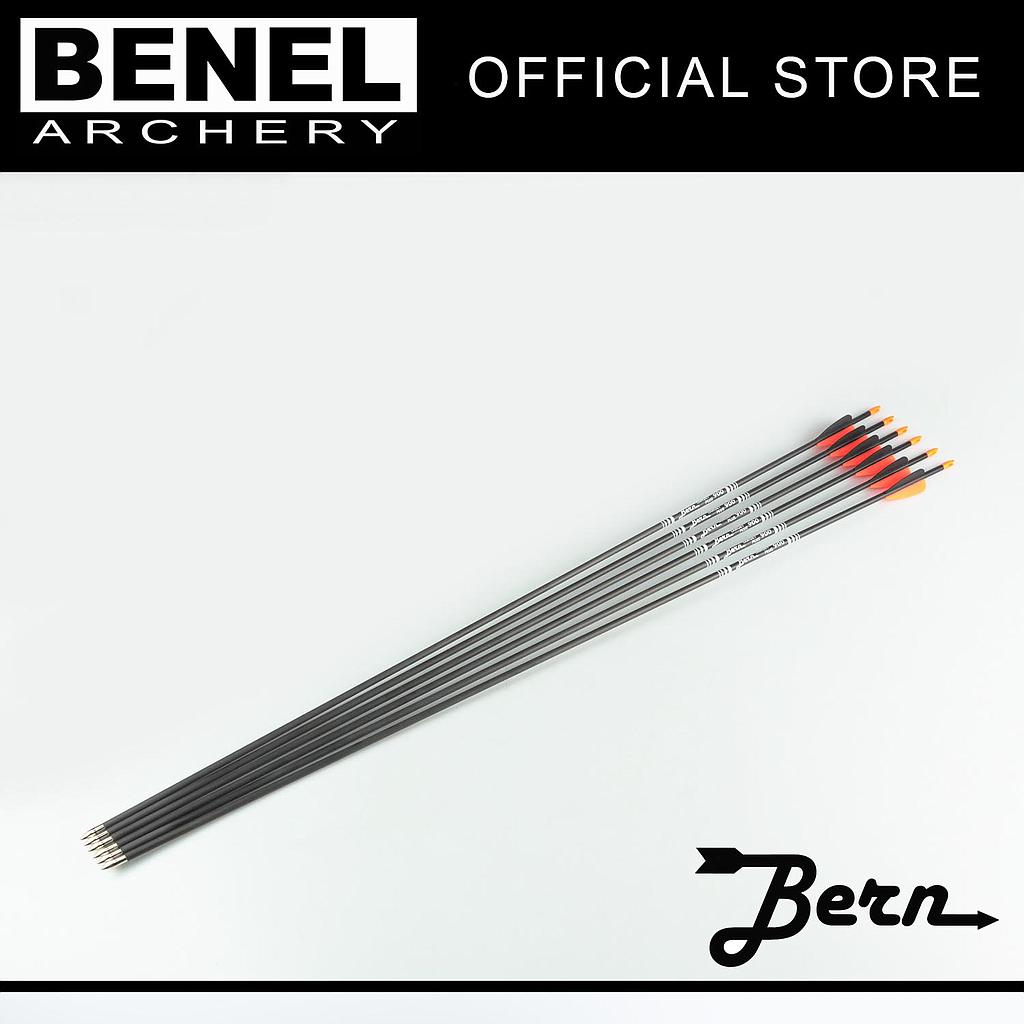 BERN TARGET PLUS ARROW (SG) 900