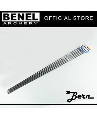 BERN TARGET PLUS ARROW (SG)1100